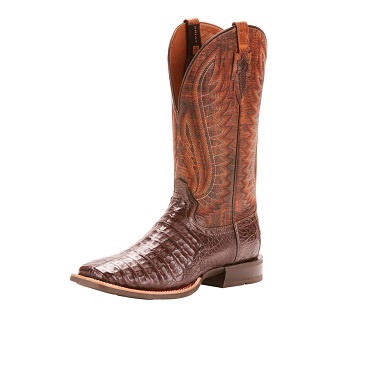Caiman Gator Belly - Ariat Style # 10025088