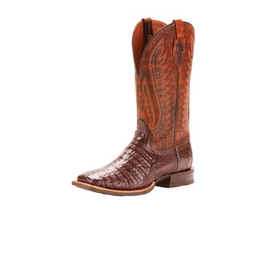 Double Down Pecan Caiman Belly - Ariat Style # 10025088